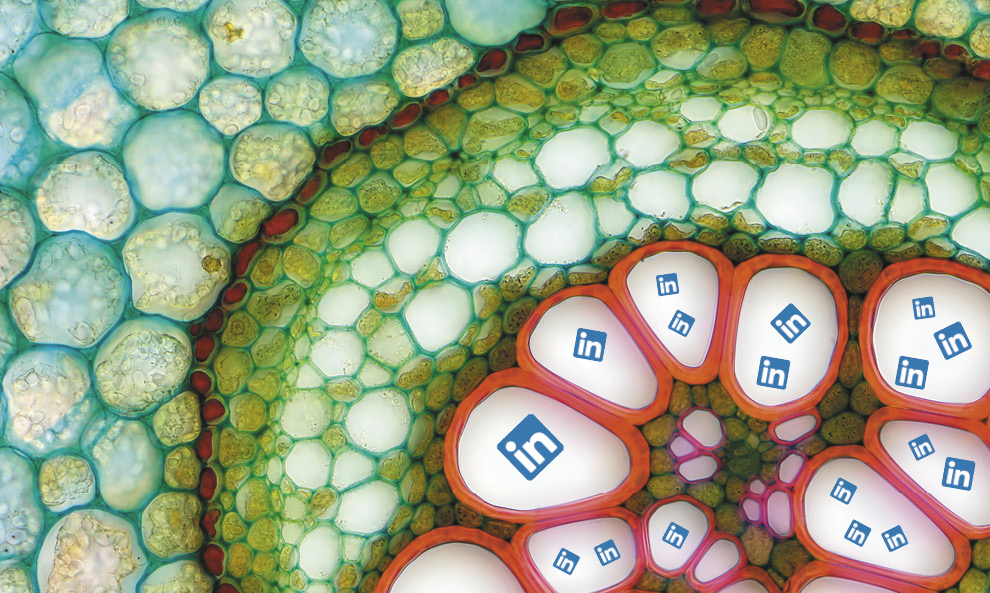Microcredentials the next “big thing” in adult learning