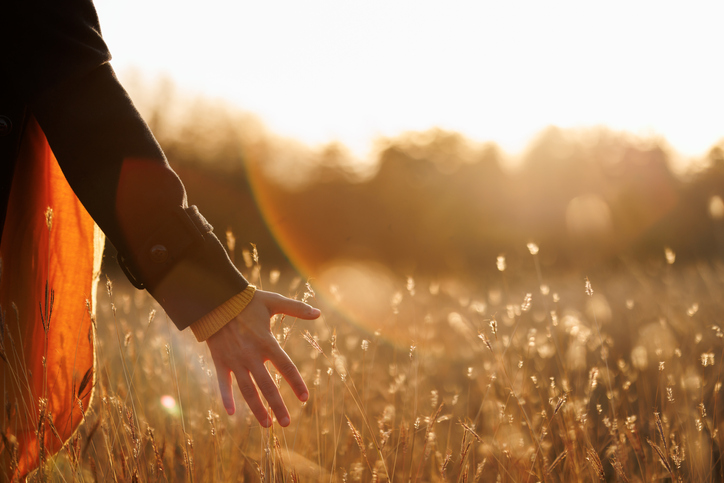 The Symphony of Prioritizing: Crafting a Life of Harmony