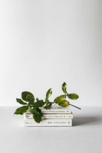 Learning Curves
